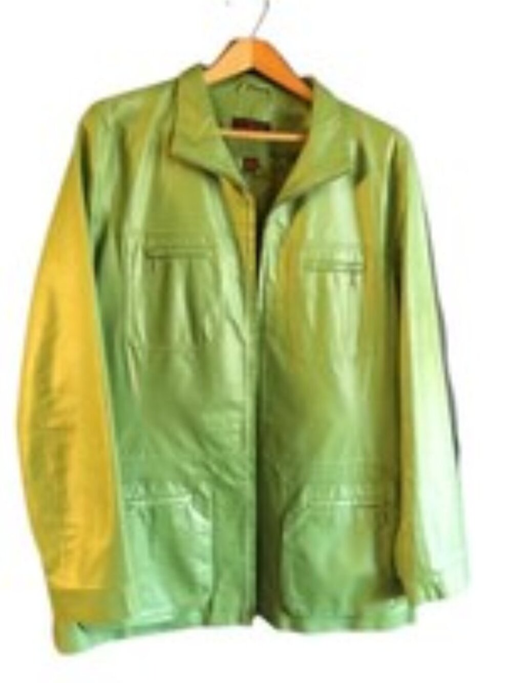 Vintage Danier Green Leather Jacket – Zip Front, 4 Pocket Design, Size Large – N